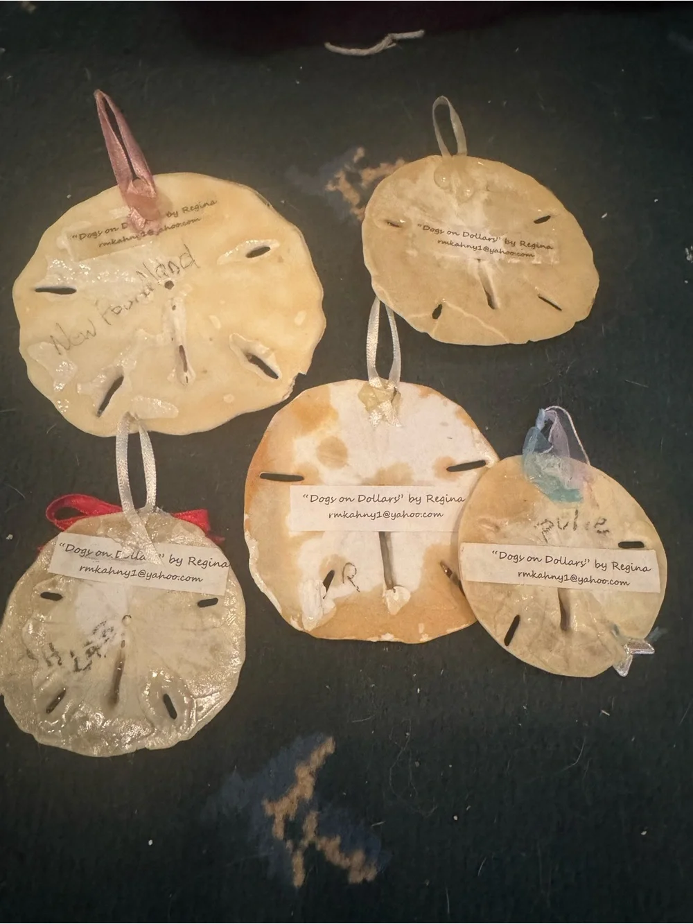 5 Handcrafted Dog real Sand Dollar Ornaments - Assorted Colors